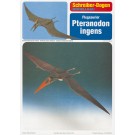 Flugsaurier Pteranodon ingens